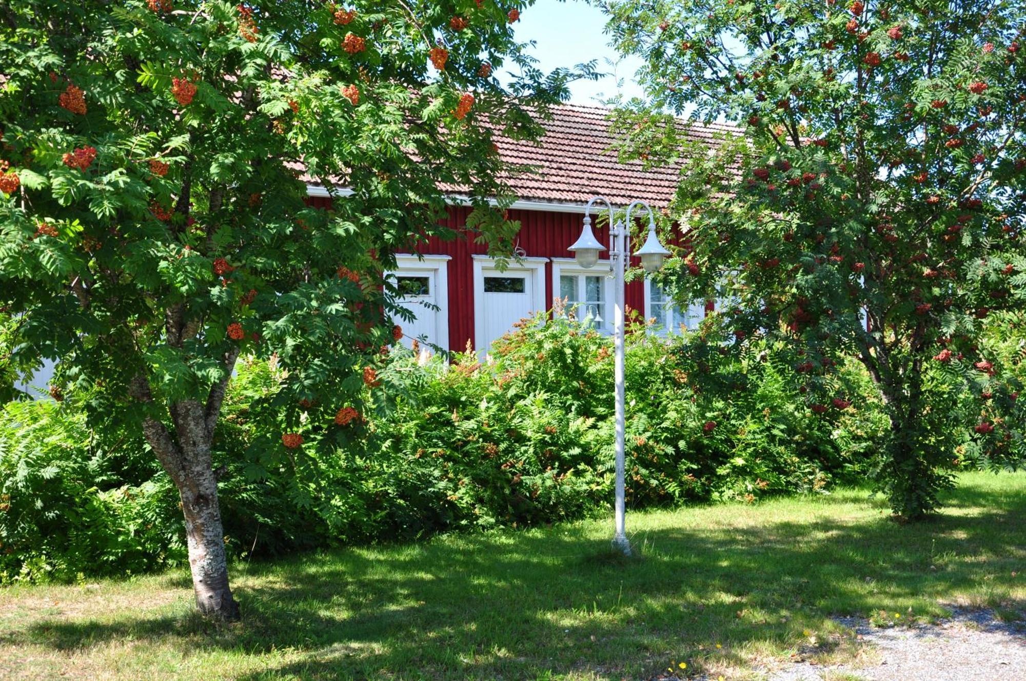 Opintola Bed & Breakfast Norinkylä Exteriör bild