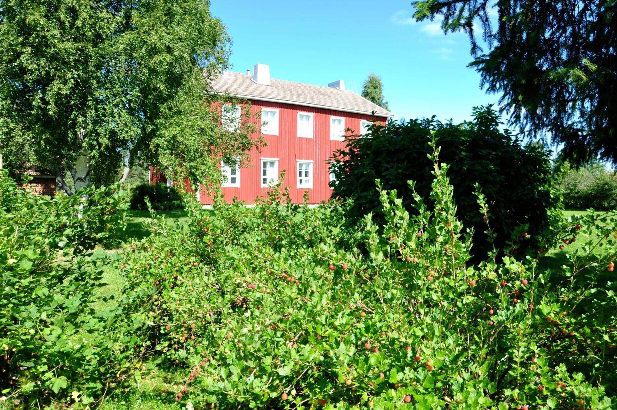 Opintola Bed & Breakfast Norinkylä Exteriör bild